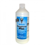 HESI Phosphorus+