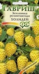 Семена - Земляника ремонтантная ХОЛИДЕЙ, 0,03 г.