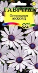 Семена - ОСТЕОСПЕРМУМ АККОРД (белый), 0,1 г.