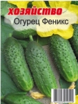 Феникс